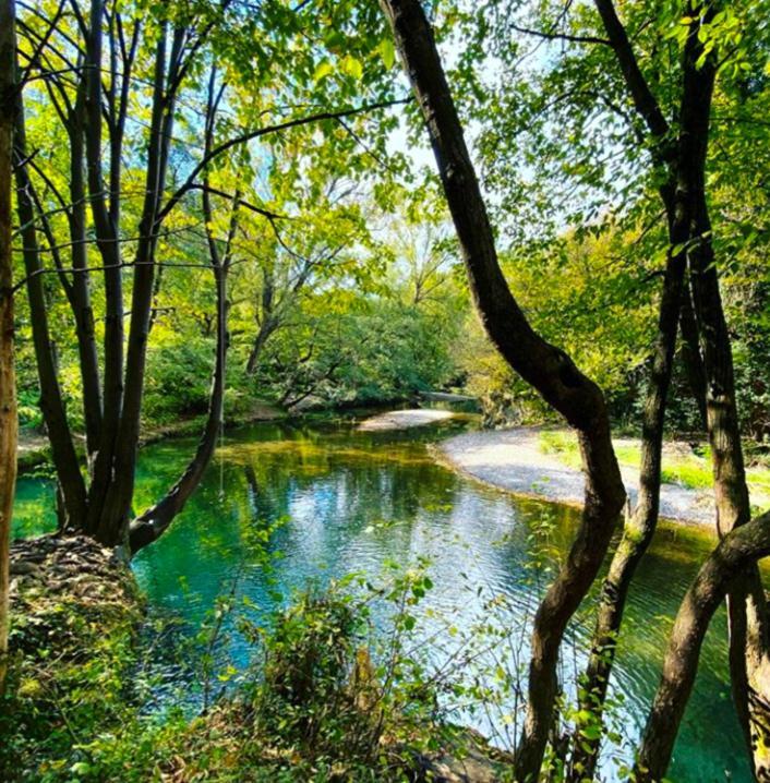 Apartman Cherry Gradac Valjevo Exteriér fotografie