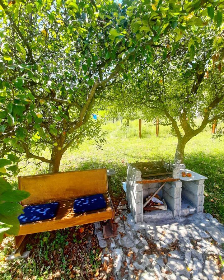 Apartman Cherry Gradac Valjevo Exteriér fotografie