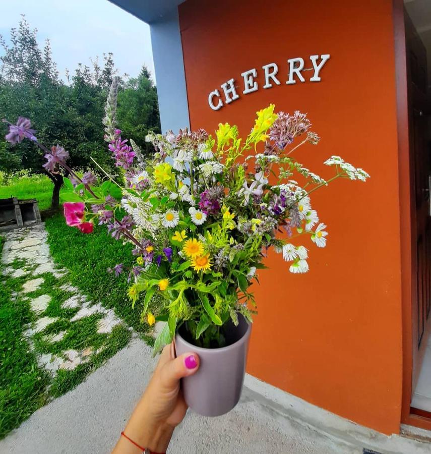 Apartman Cherry Gradac Valjevo Exteriér fotografie