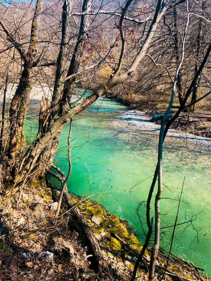 Apartman Cherry Gradac Valjevo Exteriér fotografie
