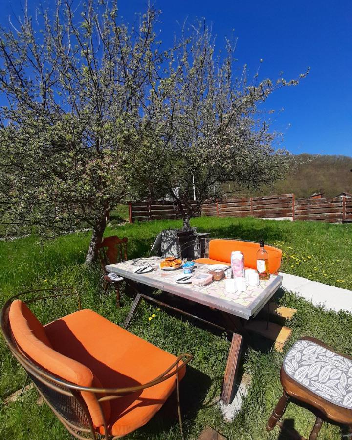 Apartman Cherry Gradac Valjevo Exteriér fotografie