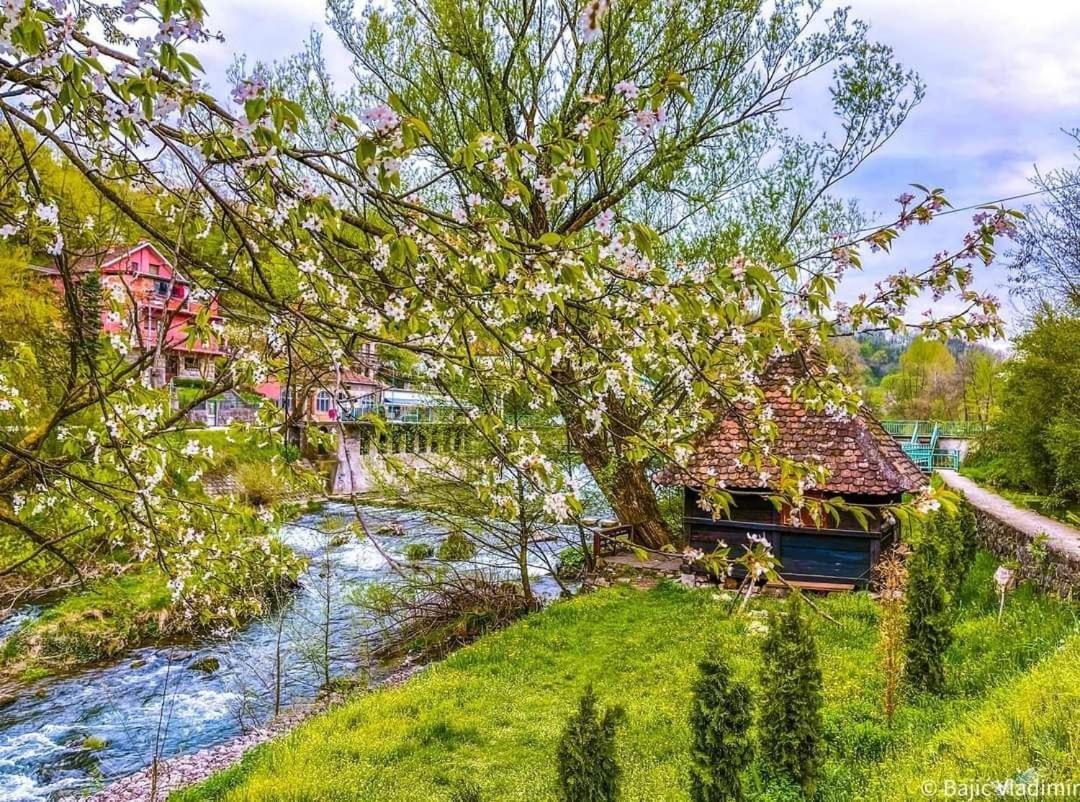 Apartman Cherry Gradac Valjevo Exteriér fotografie