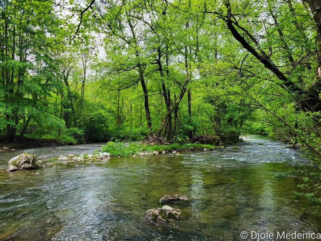 Apartman Cherry Gradac Valjevo Exteriér fotografie