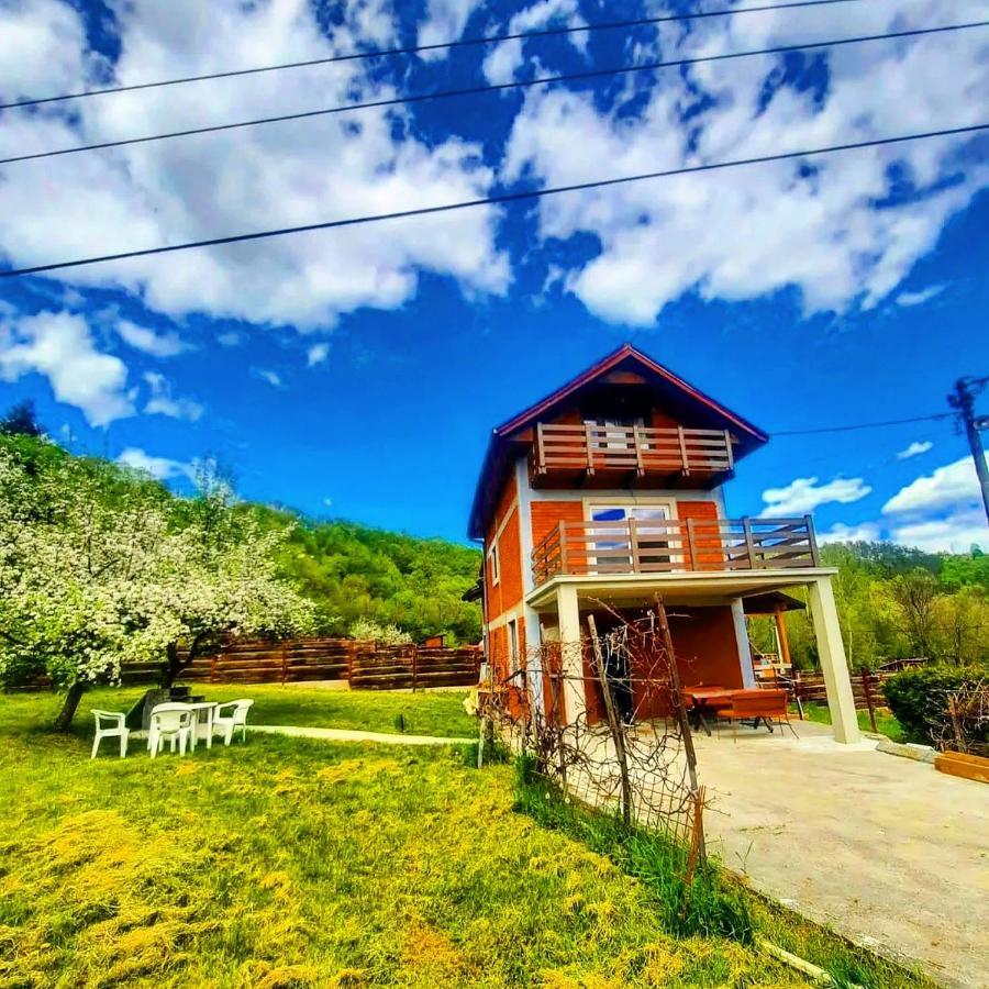 Apartman Cherry Gradac Valjevo Exteriér fotografie