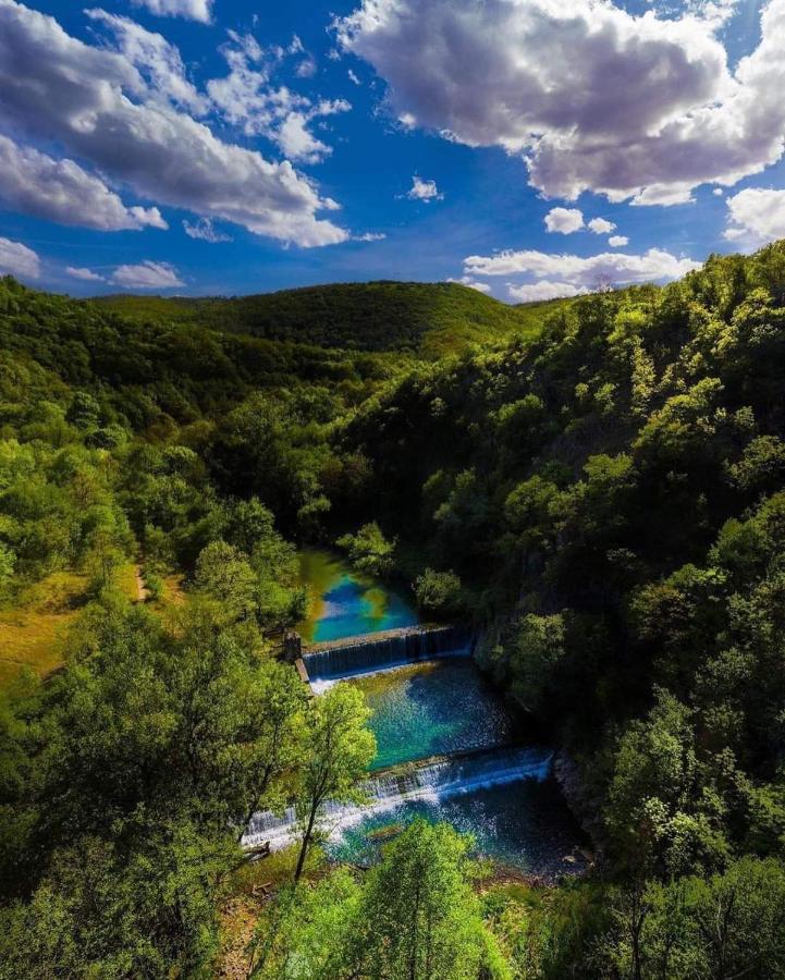 Apartman Cherry Gradac Valjevo Exteriér fotografie