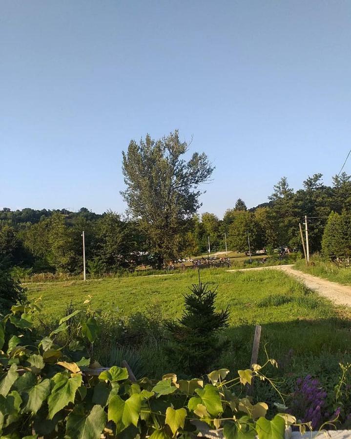 Apartman Cherry Gradac Valjevo Exteriér fotografie
